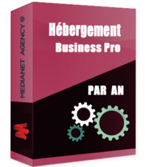 Hébergement Business Pro par an