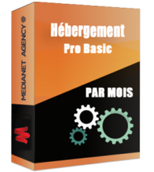 Hébergement Pro Basic par mois