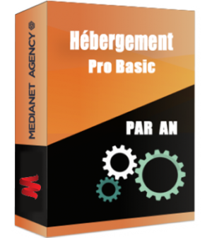 Hébergement Pro Basic par an