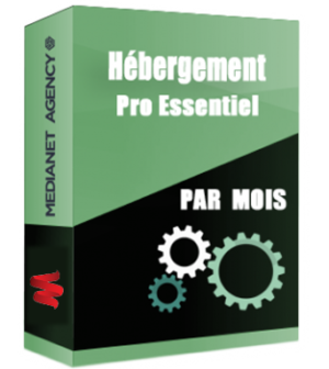 Hébergement Essentiel Pro par mois