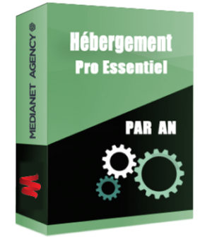 Hébergement Pro Essentiel par an