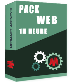 Prestation web à la demande 1 H