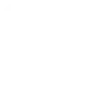 YT